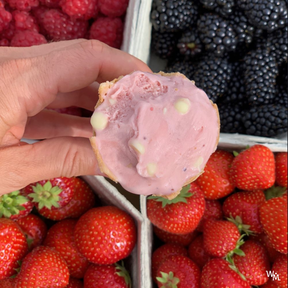 fruits and ice cream in craigie's farm